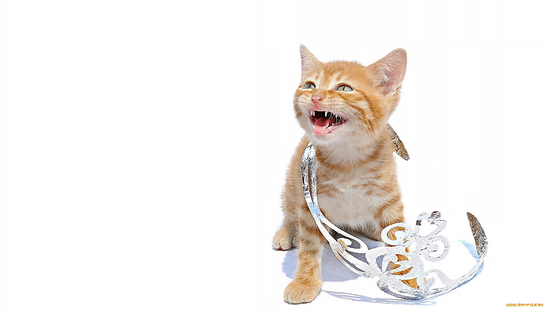 , , , , , 